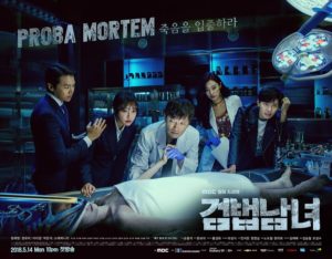 Download Drama Korea Investigation Couple Sub Indo
