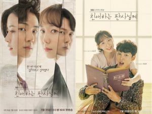 Download Drama Korea Your Honor Sub Indo