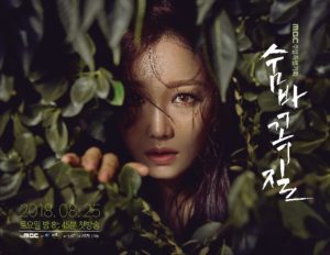 Download Drama Korea Hide and Seek Sub Indo