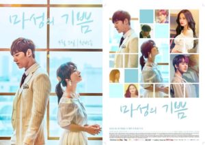 Download Drama Korea Devilish Joy Sub Indo