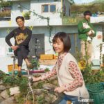 Download Drama Korea Top Star Yoo Baek Sub Indo