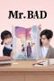 Mr. Bad Sub Indo