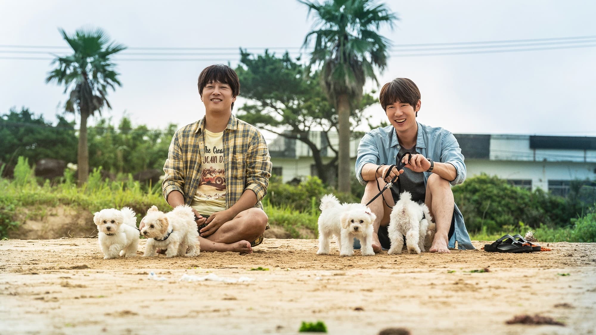 download My Heart Puppy sub indo